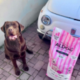 Hundefutter