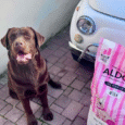 Hundefutter