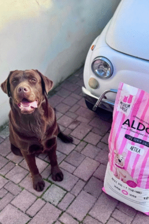 Hundefutter
