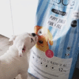 Hundefutter