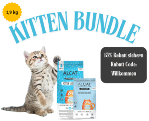 ALCAT Kitten Bundle