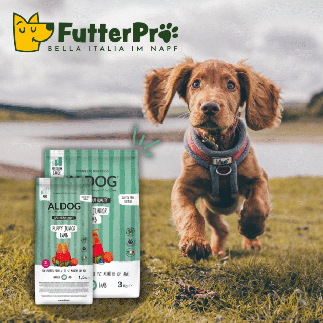 ALDOG Puppy Lamm