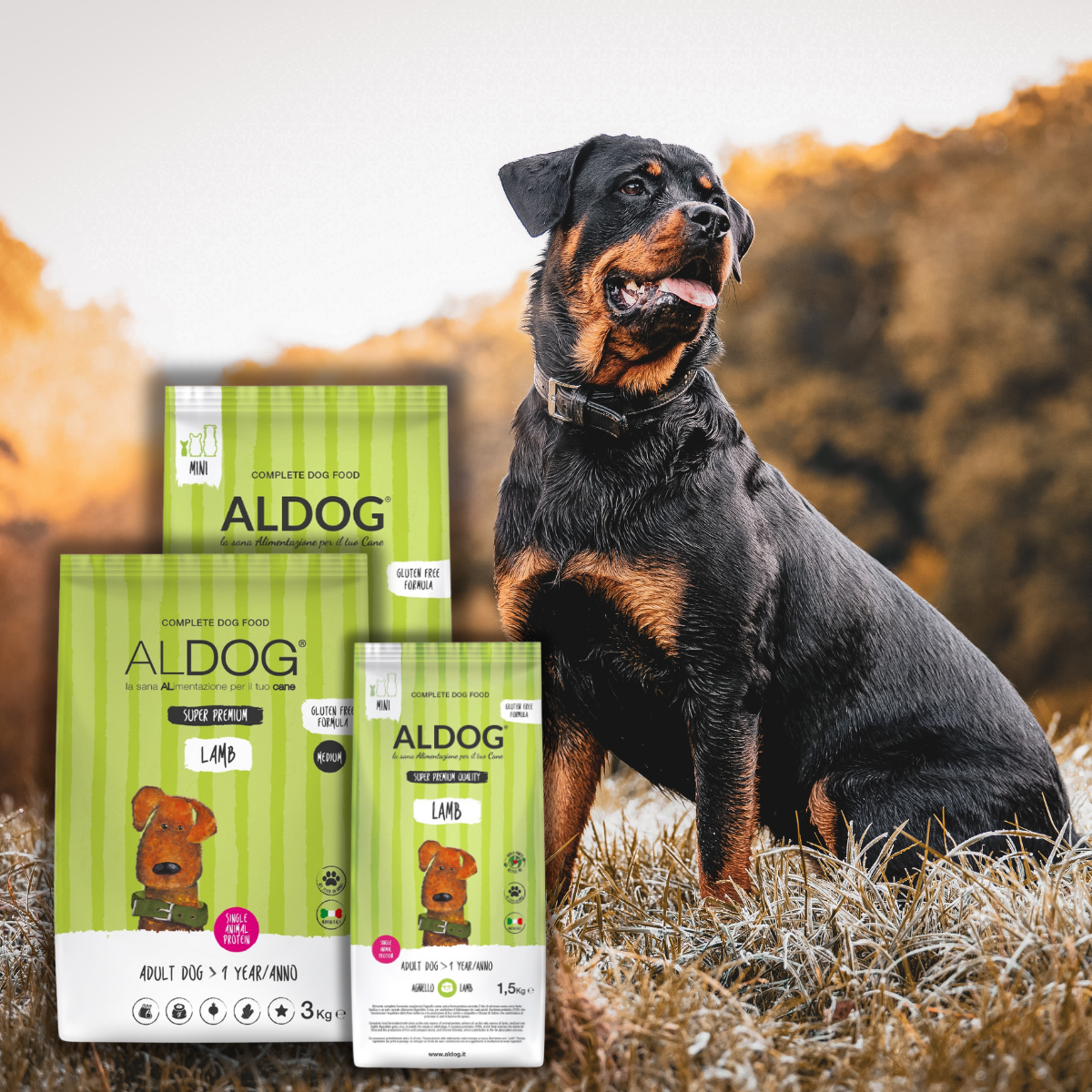 Hunde Trockenfutter