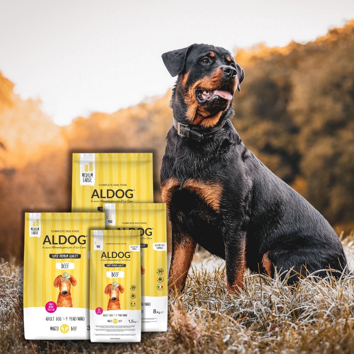 Hunde Trockenfutter